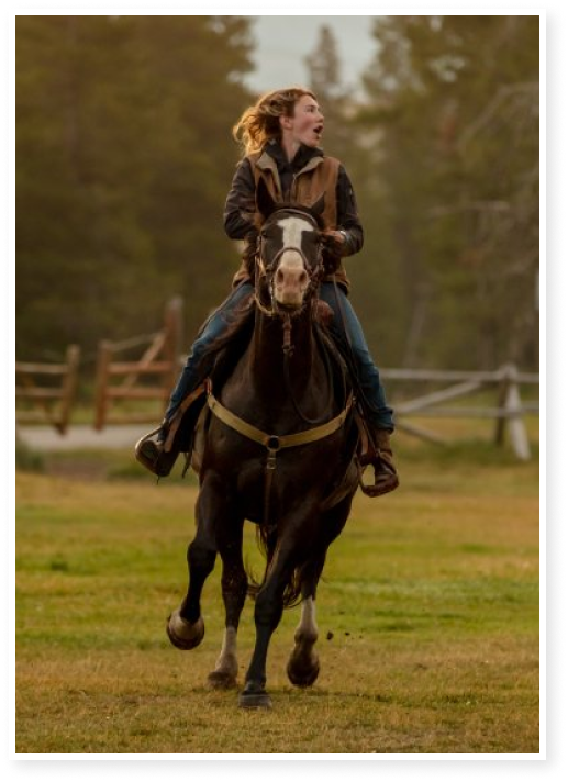 horse